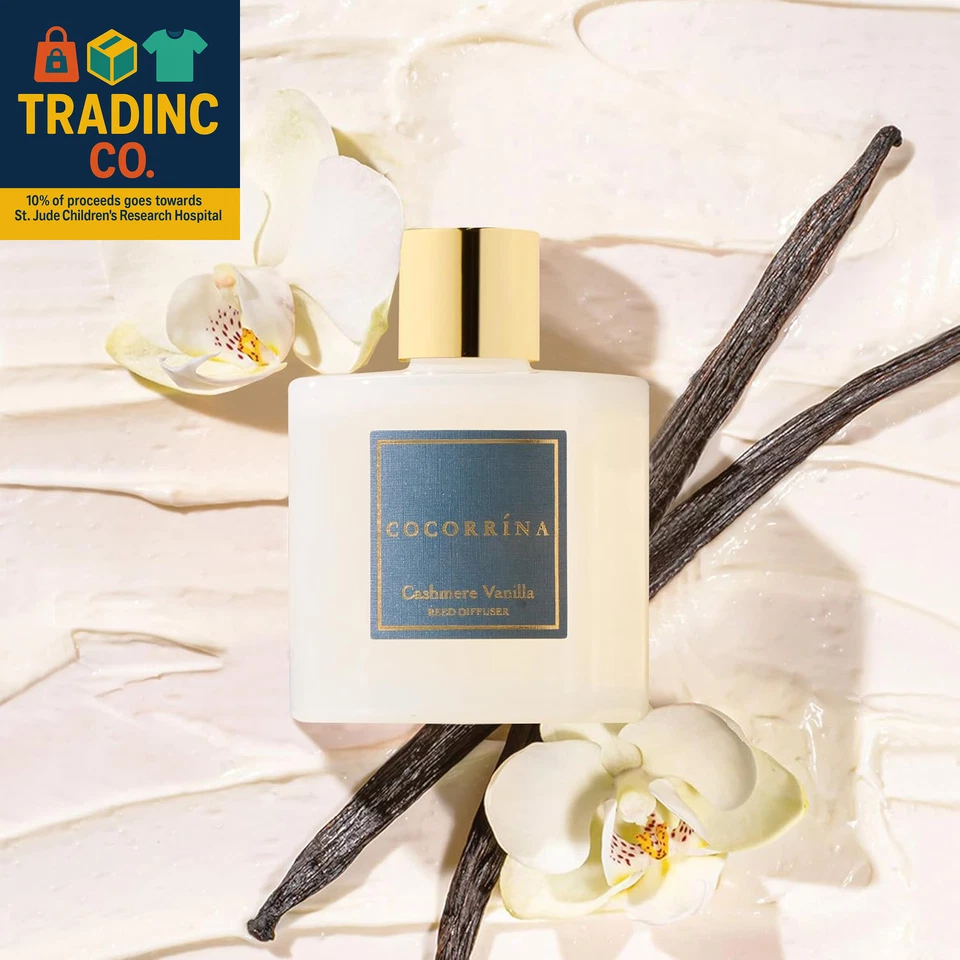 Premium Reed Diffuser Set with Preserved Baby'S Breath & Cotton Stick Cashmere V - Image 3 of 4