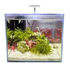 (OPEN BOX) Mini Pond - 4 Gallon Desktop Aquar...