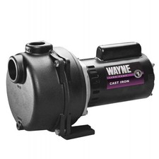 Wayne WLS200 2 HP Cast Iron High Volume Lawn Sprinkling Pump, 2-Horsepower,