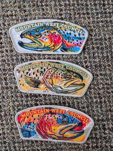 Mountain West  Council  Patches BSA silver mylar