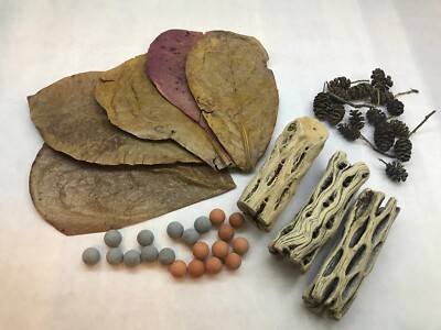 Indian Almond Leaves Alder Cones Mineral Balls Cholla Wood Package For Aquarium