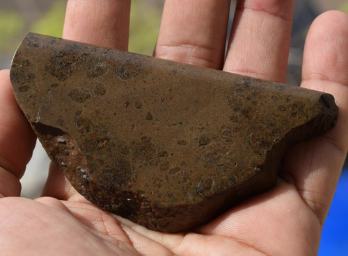NWA Howardite Meteorite - 4" Fetta di Asteroide Vesta (HED Acondrite, 128g) - Foto 3 di 11