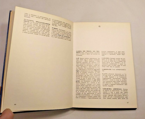 DIZIONARIO DEI TERMINI ECONOMICI Mondadori 1972 - Imagen 3 de 3