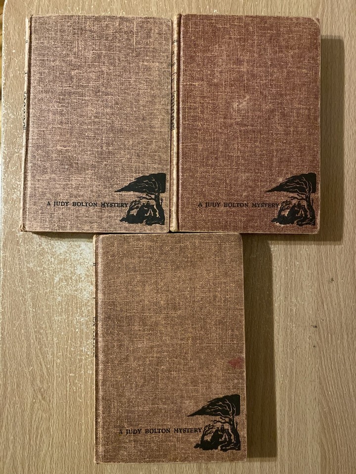 Haunted Fountain Riddle Of The Double Ring Rainbow Riddle 3 Judy Bolton ...