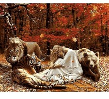 Paint By Numbers Adults kids Girl And Animals DIY Painting Kit 40x50CM Canvas