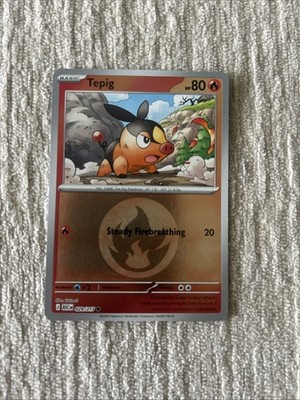 Tepig (Energy Symbol Pattern) 029/217 Holo Common ME: Ascended Heroes Pokemon NM