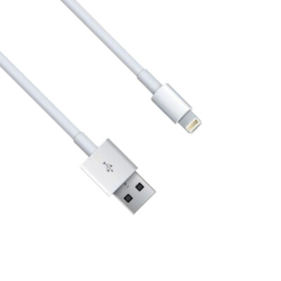 White 10 feet Lightning USB Cable Charge Data Sync for iPhone iPad MFi Certified