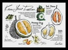 [KKK] Malaysia Postcard - Know Your Durian