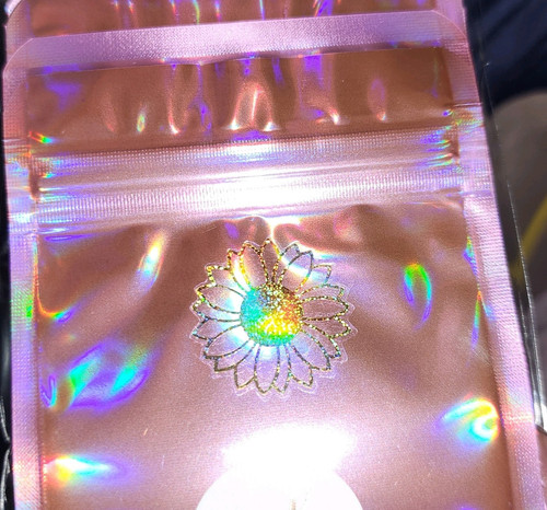 10 Pink Iridescent Rainbow shift Resealable Zipper Bags/Pouches