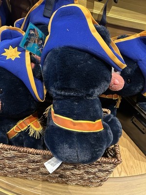 Universal Epic Universe Exclusive Captain Cacao Plush Bear Teddy