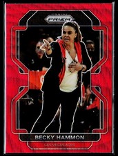 2022 Panini Prizm WNBA #179 Becky Hammon Ruby Wave