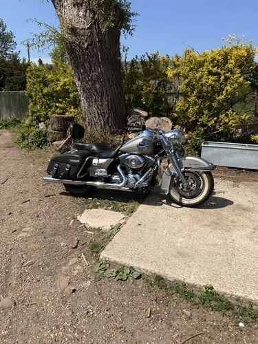 harley davidson