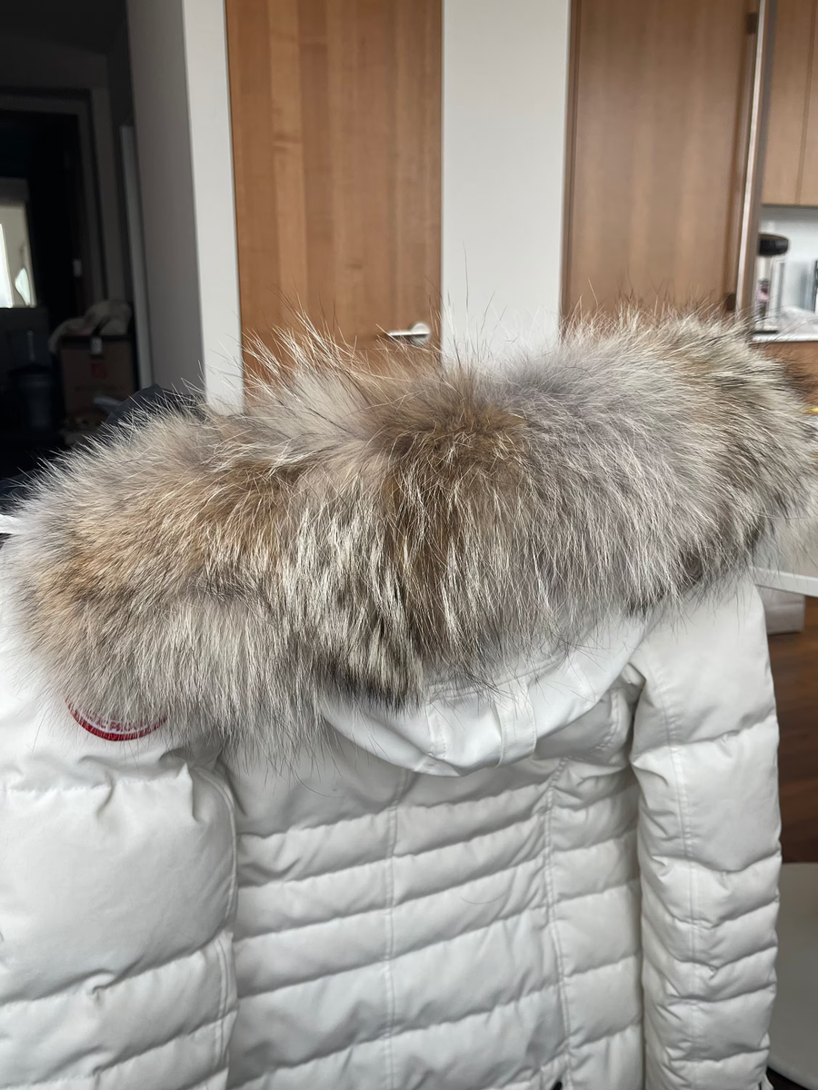 Coyote Fur Trim Hood YKK Zipper Real Fur Canada Goose Replacement