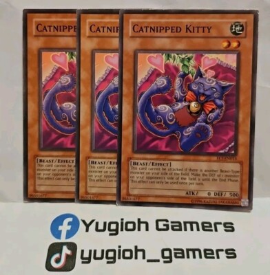 YUGIOH CATNIPPED KITTY X3 COMMON LIGHT PLAYED 