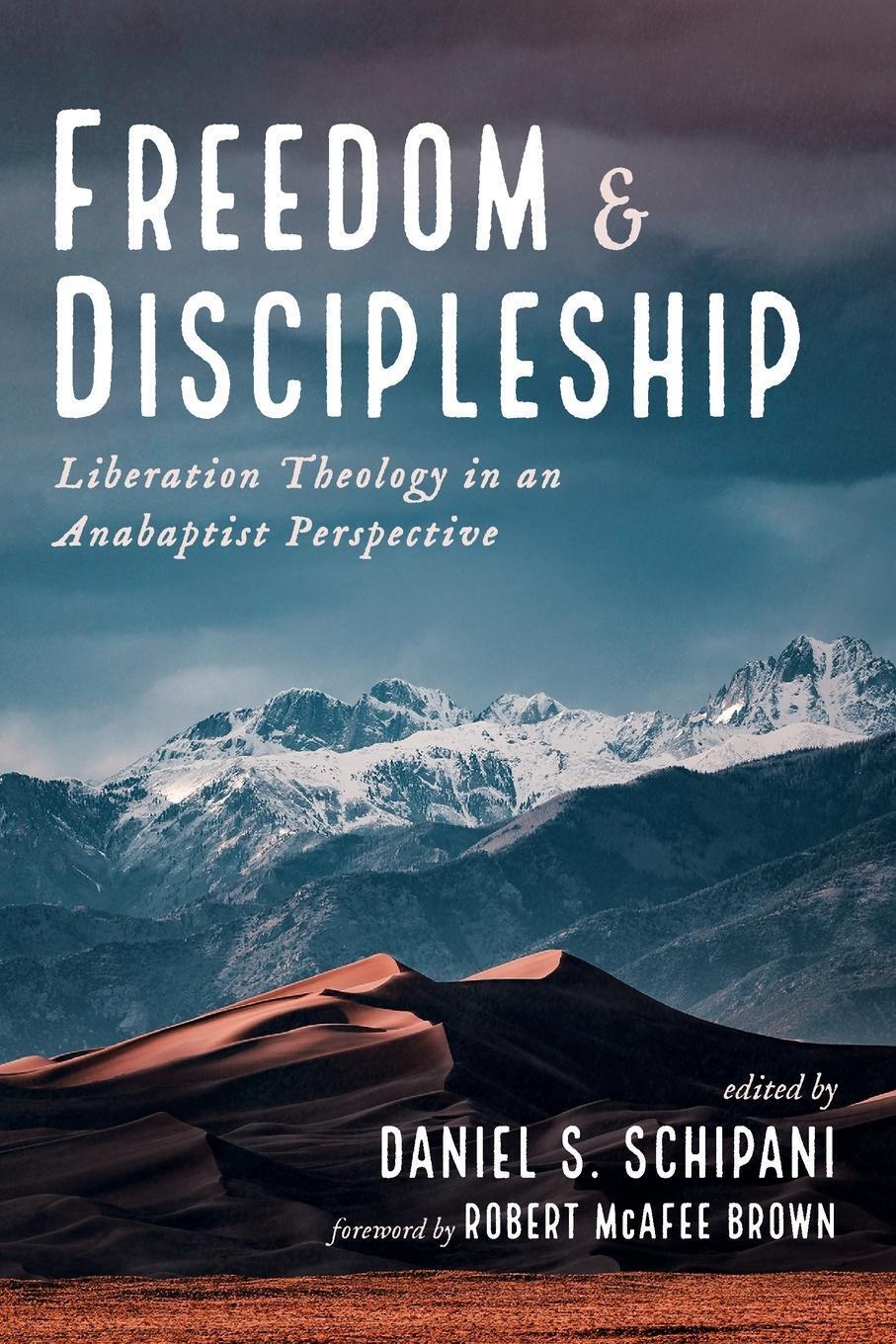 Thumbnail - Freedom And Discipleship Daniel S. Schipani Taschenbuch Paperback