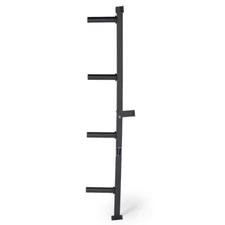 Titan Fitness Weight Plate Wall Mounted Storage Rack, Angled 4-Peg Design