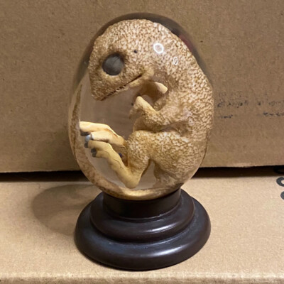 Rebor Tyrannosaurus Rex chickenosaurus Embryo Statue Dinosaur