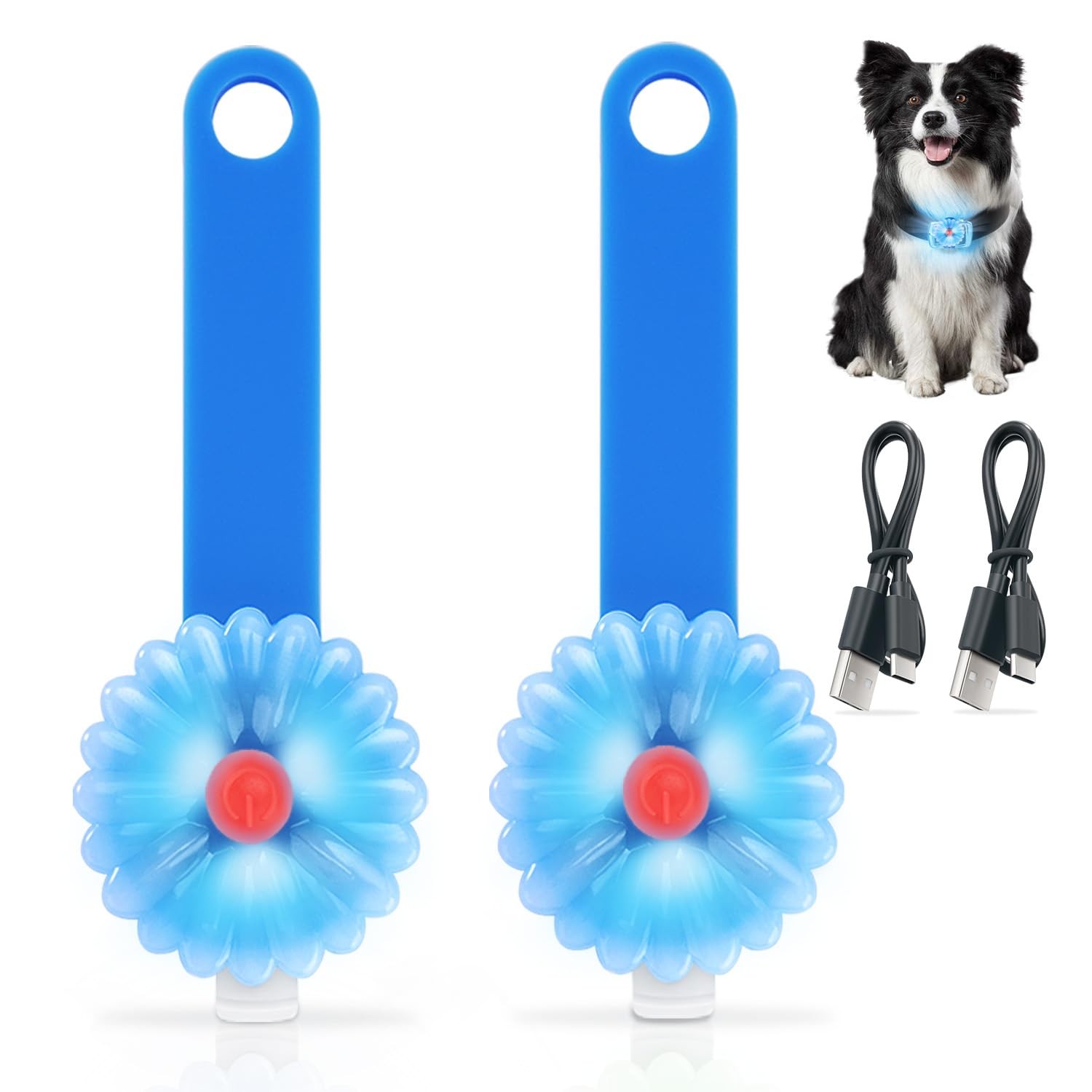 Collier Lumineux pour Chien Rechargeable Idéal pour Balade Nocturne en Forêt et Sortie en Ville 2x