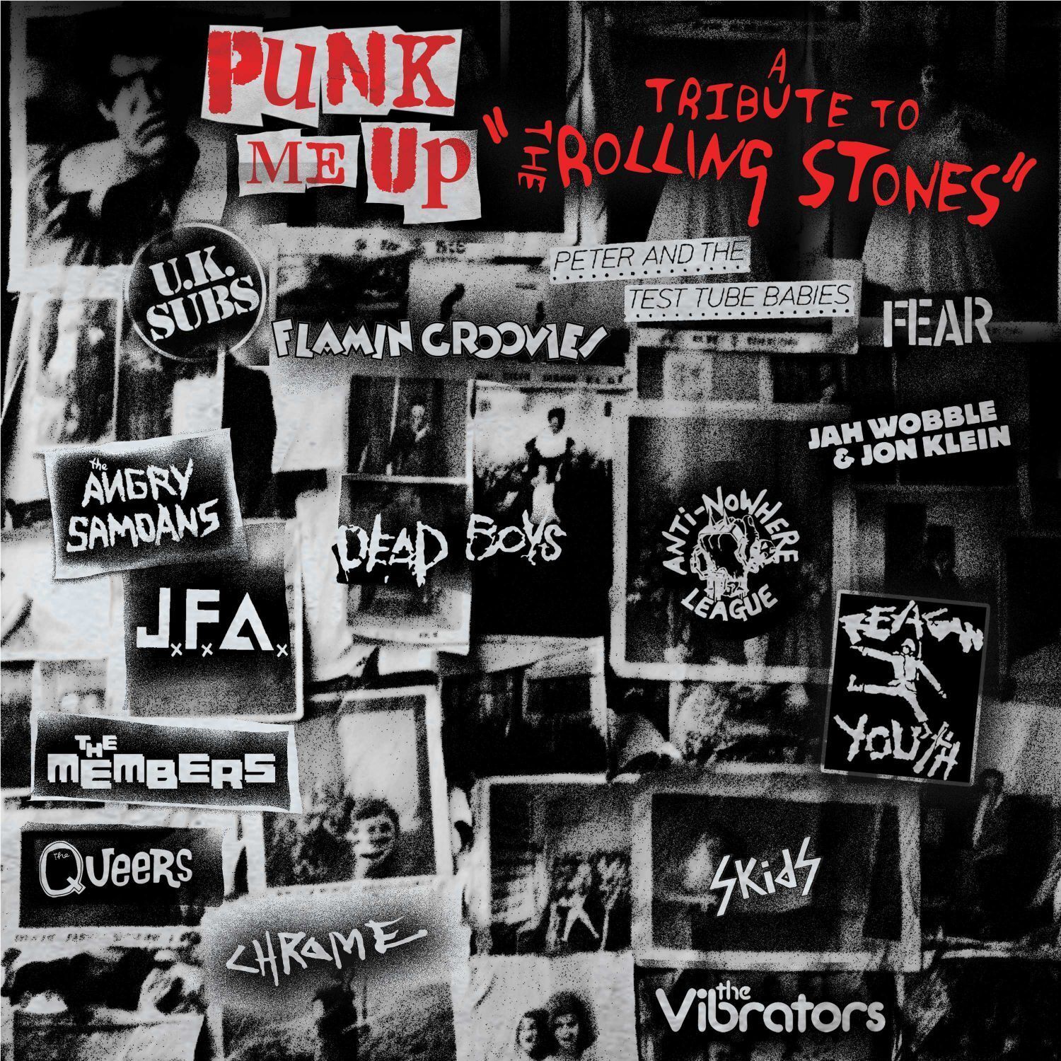 Various Artists Punk Me Up: A Tribute to the Rolling Stones (CD) Album