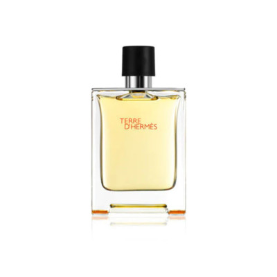 Terre D'Hermes Eau De Toilette - Natural Spray | eBay