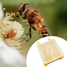 Beekeepings Bee Grafting Kit Yellow Professional Beekeepings Grafting Tool