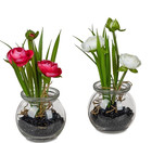 Formano Kunstblume Ranunkel im Glastopf ca. 18 cm Farbe wählen 666048