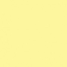 Savage Widetone Seamless Background Paper  93 Lemonade, 107" x 36' 