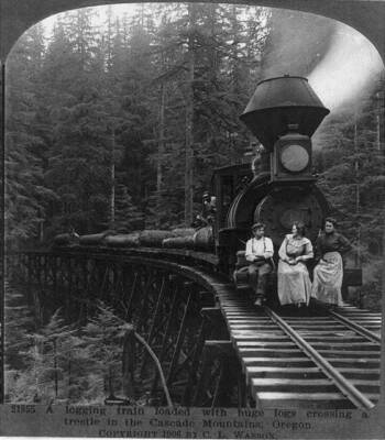 8'' x 10'' Photo Logging Train Loaded w/logs,Crossing Trestle in Cascade Mountains