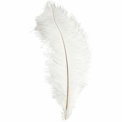 Ostrich Wing Feather Plumes 60-65cm (24-26'') - White