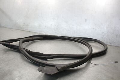 BMW E46 Coupe Left Drivers Grey Door Seal Window Weather Strip OEM 