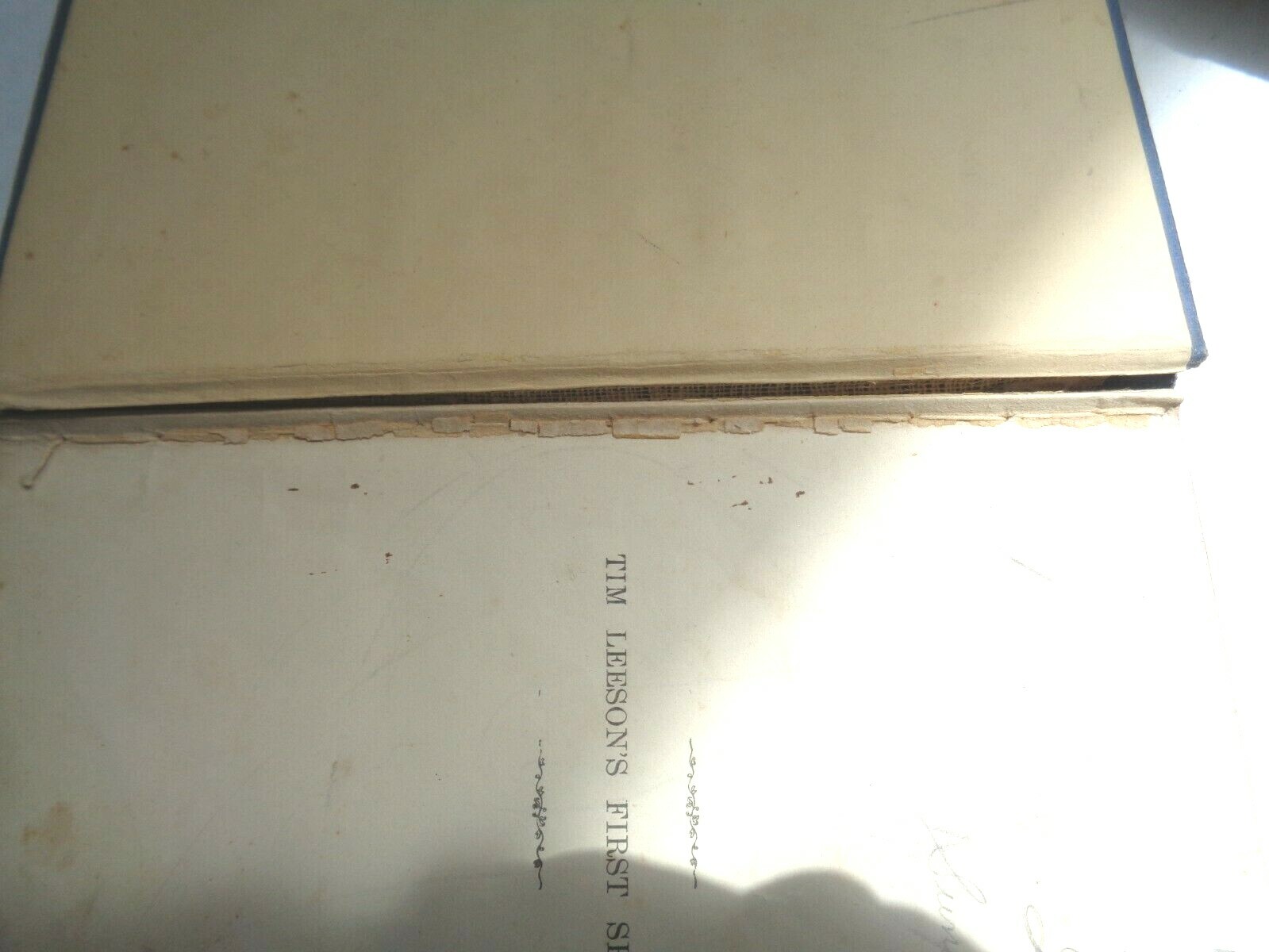 Picture 8 of 12