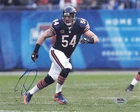 Brian Urlacher Signed Chicago Bears Football 8x10 Photo PSA Autographed