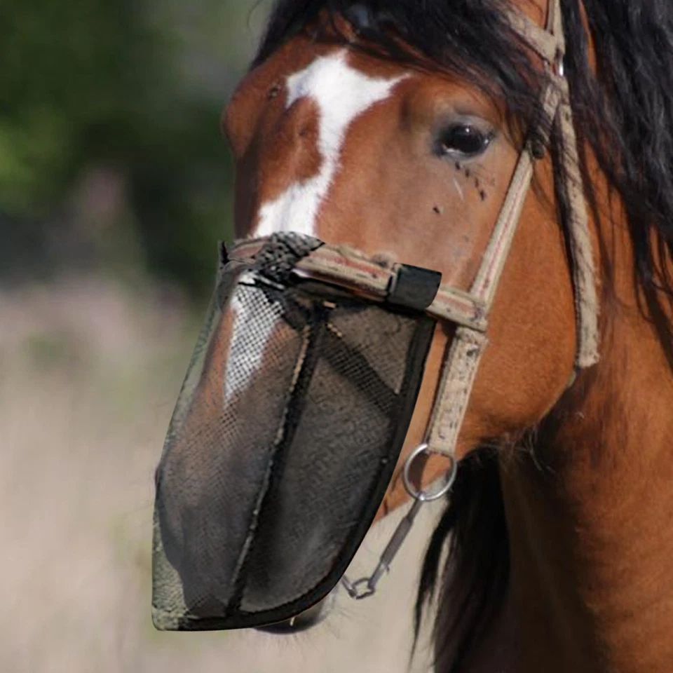 Cubierta de nariz de caballo Máscara de mosca de caballo Malla Transpirable Máscara de caballo Escudo equino Foto 4 de 4