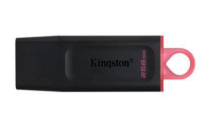 Kingston 256 GB DataTraveler Exodia USB 3.2 Gen1 USB-Stick