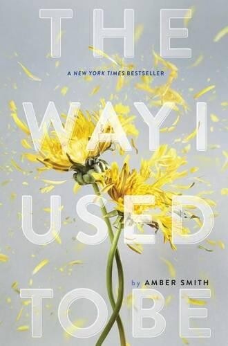 Amber Smith The Way I Used to Be (Copertina rigida) Way I Used to Be