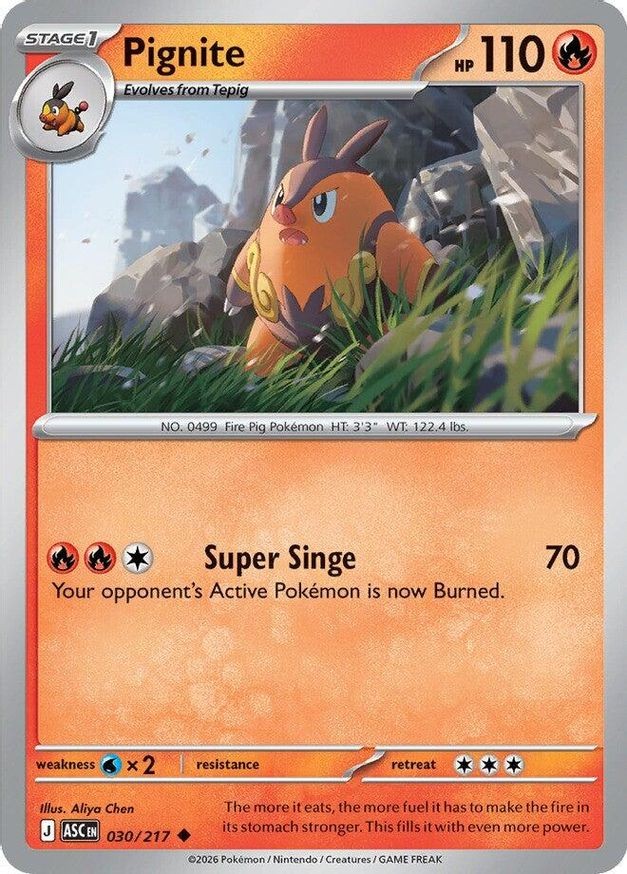 Pokemon Pignite (30/583) Ascended Heroes NM