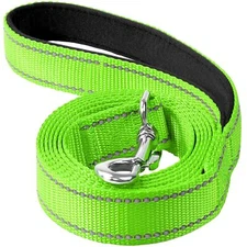 4ft Dog Leash for Small Medium Dogs | One-Sided Reflective Nylon | Padded Han...
