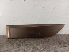 Baguette de porte Renault SCENIC