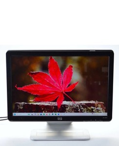 Hp W 1907 Monitor | eBay