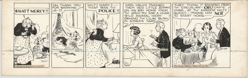 Edwina Dumm Cap Stubbs Tippie Orig Ink Daily Comic Strip Art signed 1946 8-499 Comic Art