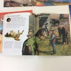 Foto 3 di 4