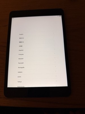 Apple iPad Mini 2 A1489 16GB WiFi Space Grey
