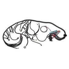 LS Standalone Wiring Harness 4L60E DBC Compatible with 1997-2006 GM 4L60E-DBC