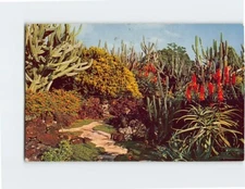 Postcard Moir's Pa'u-a-Laka Gardens in Koloa Kauai Hawaii