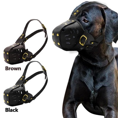 dog muzzle for labrador