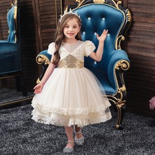 Flower Girls Kids Tutu Dress Pricess Pageant Ball Gown Evening Wedding Dresses