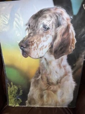 Vintage 1978 Nova Rico English Setter￼ Florence 3D Relief Poster Italy NOS 27”