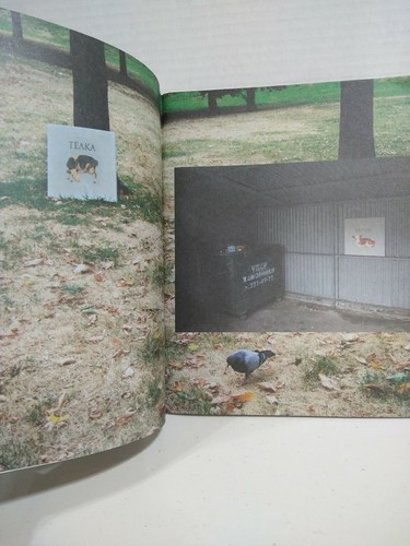 Rare 1ère édition Livre d'art mexicain-russe VGLAZ Fundacion dessins magnolia peinture - Photo 6 sur 12