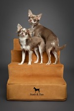 New Noah  Paw Dog Stairs/Dog Ramp for Bed 4 Steps 
