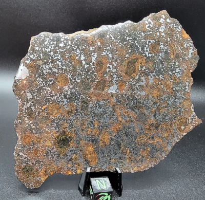 NWA 14518 74.07g Mesosiderite Meteorite Polished Slice IMCA